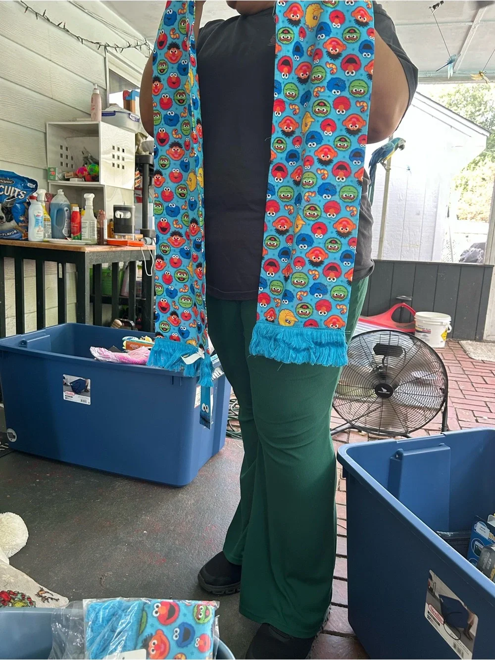 Sesame Street bright blue